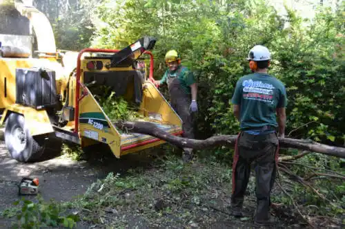 tree services Lowell